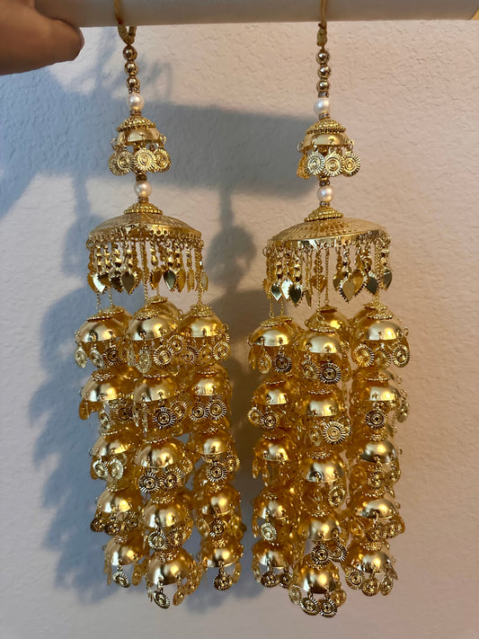 Gold Coin Kaleere